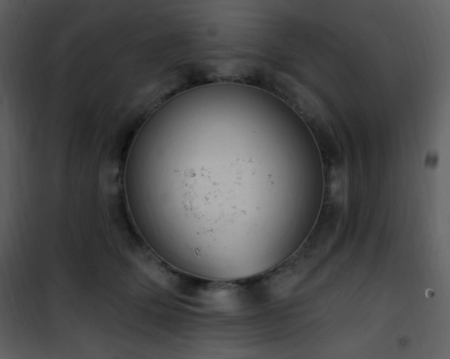 X0000102000514200807181208