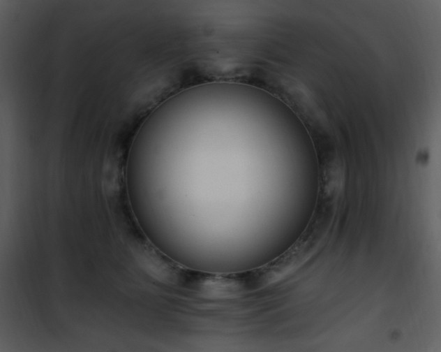 X0000102000515200807181208