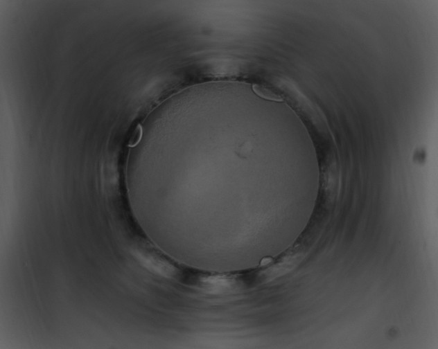 X0000102000516200807181208