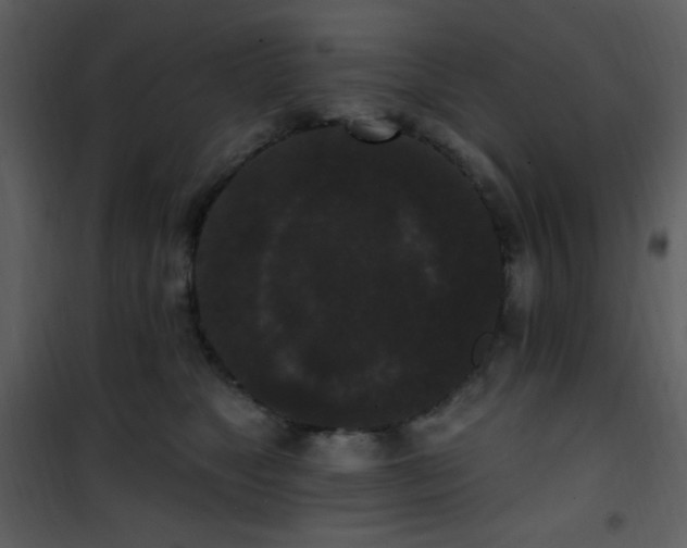 X0000102000517200807181208