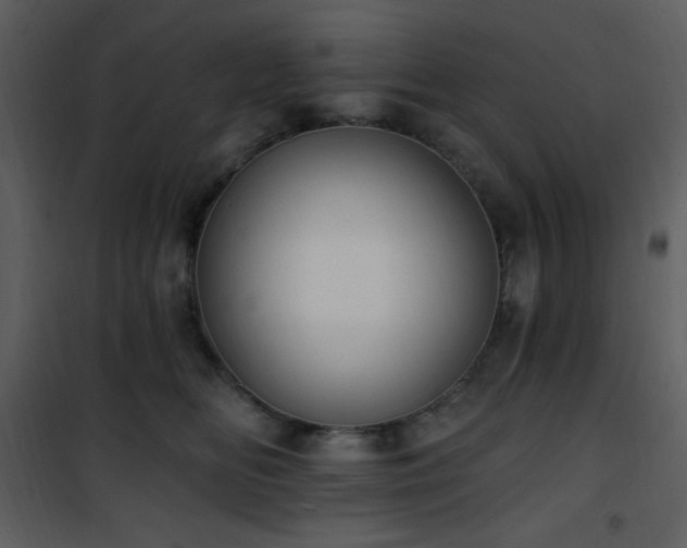 X0000102000518200807181208