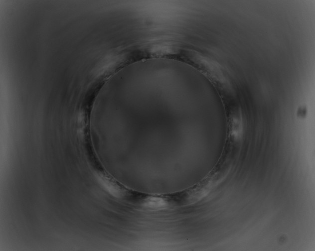 X0000102000519200807181208