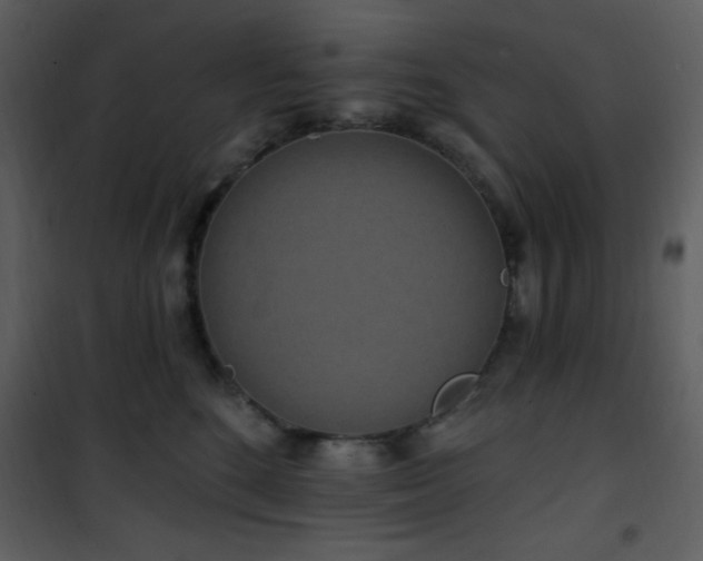 X0000102000520200807181208