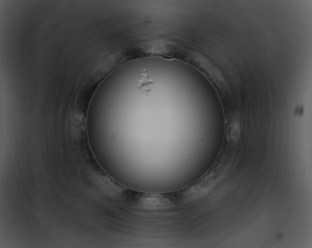 X0000102000521200807181208