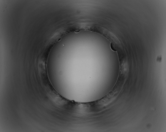 X0000102000522200807181208