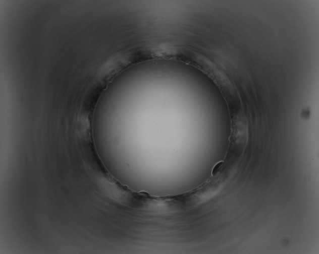 X0000102000523200807181208