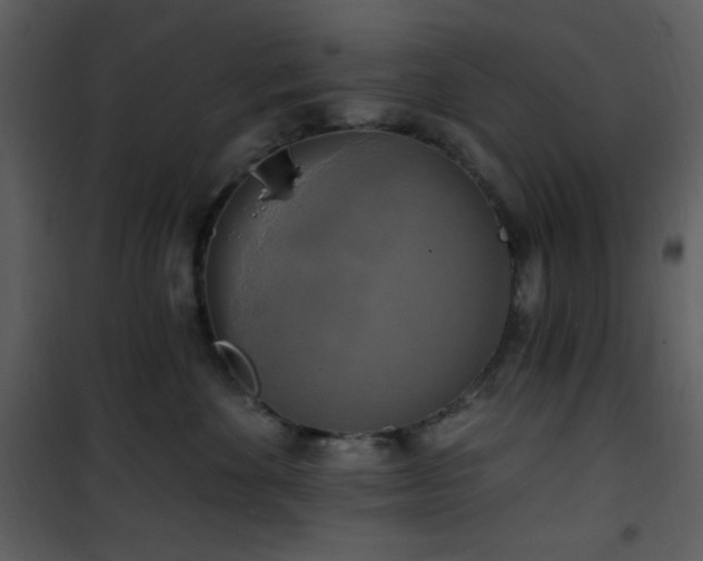 X0000102000524200807181208