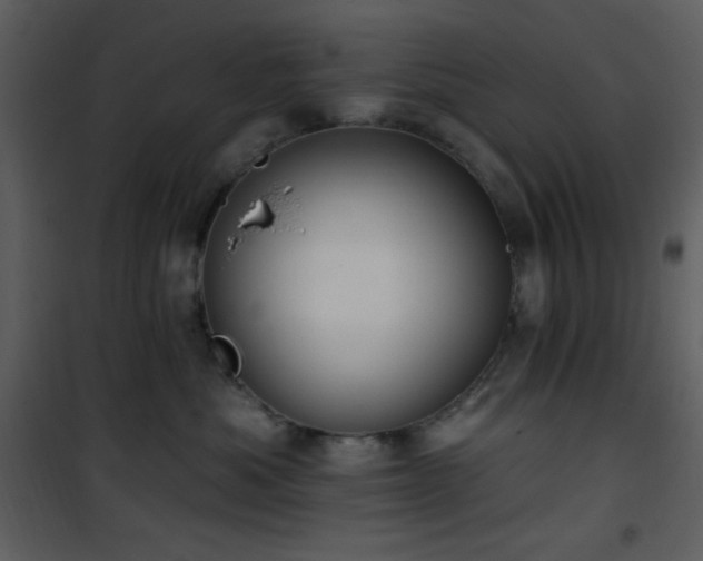 X0000102000525200807181208