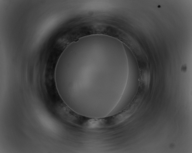 X0000102000526200807181208