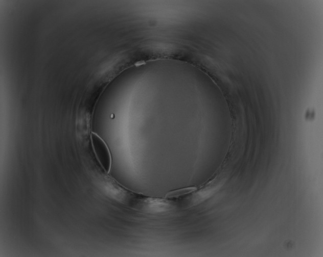 X0000102000528200807181208