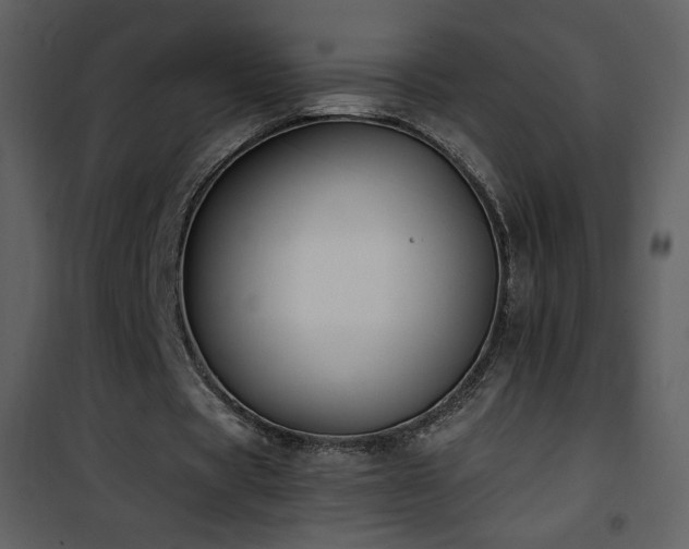 X0000102000529200807181207