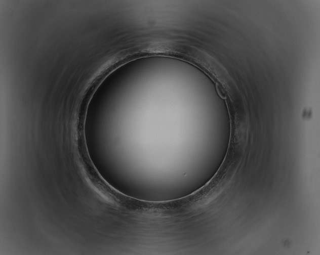 X0000102000530200807181207