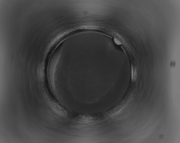 X0000102000531200807181207