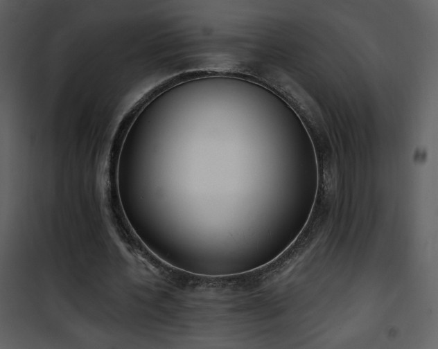 X0000102000532200807181207