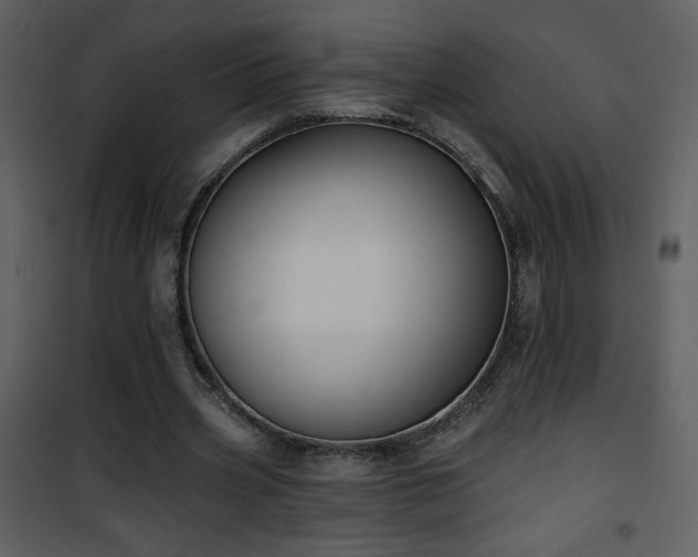 X0000102000533200807181207