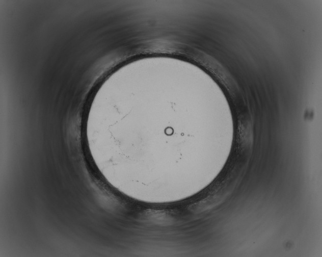 X0000102000534200807181207