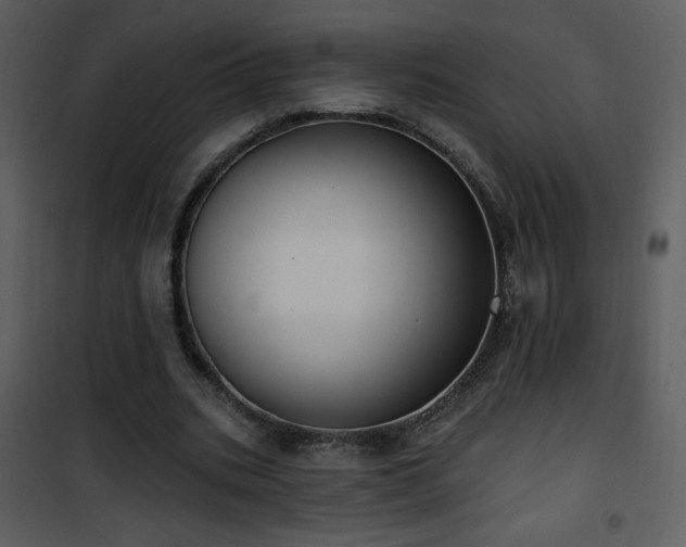 X0000102000535200807181207