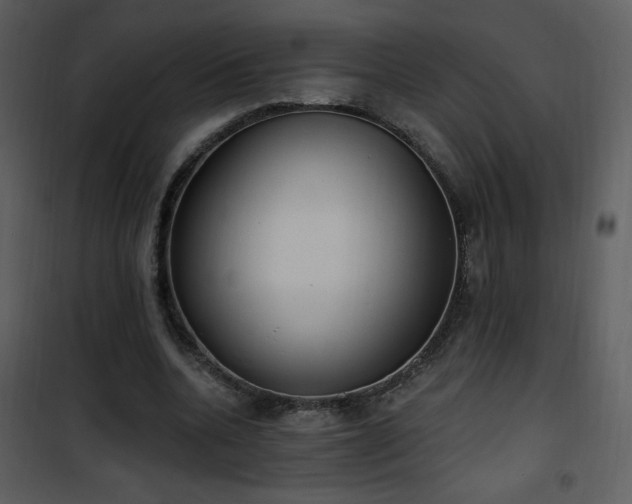 X0000102000536200807181207