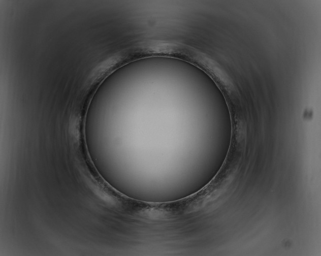 X0000102000537200807181207