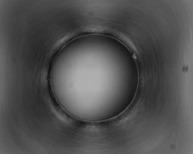 X0000102000538200807181207