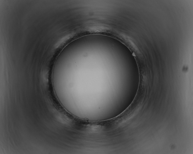 X0000102000539200807181207