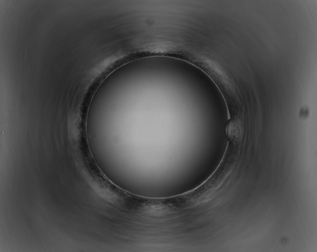 X0000102000540200807181207