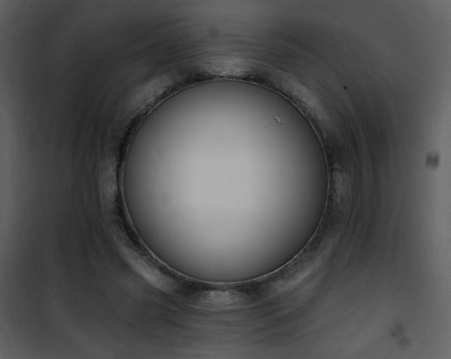 X0000102000541200807181207