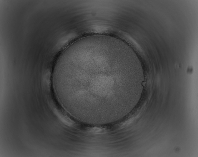 X0000102000542200807181207