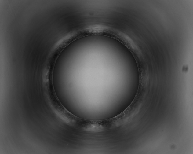 X0000102000543200807181207