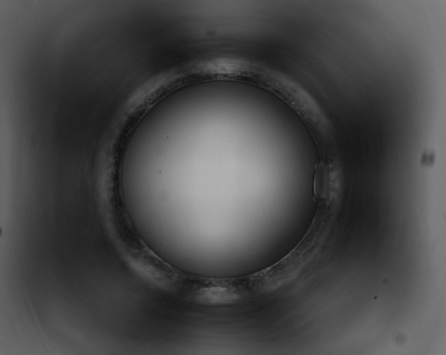 X0000102000544200807181207