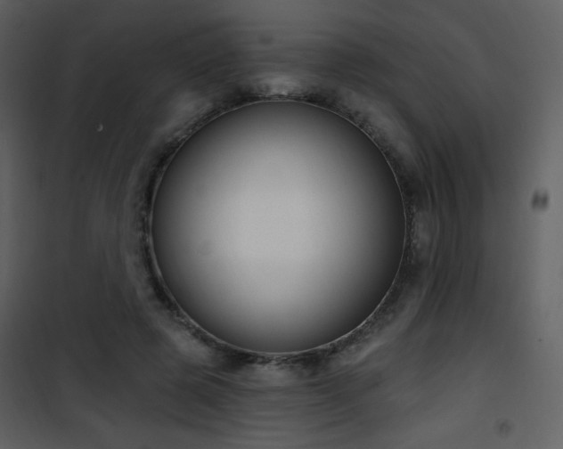 X0000102000545200807181207