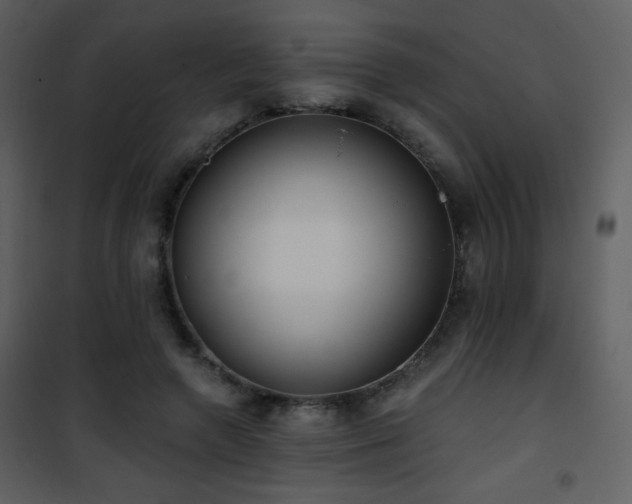 X0000102000546200807181207