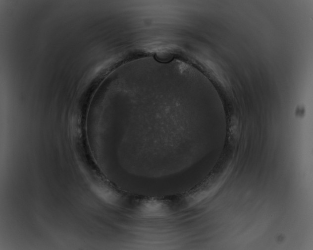 X0000102000547200807181207