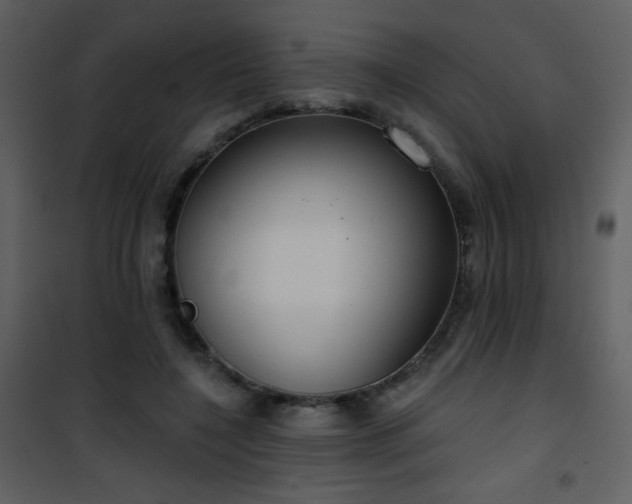 X0000102000548200807181207