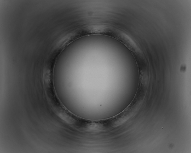 X0000102000549200807181207