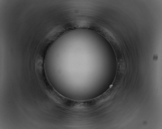 X0000102000550200807181207