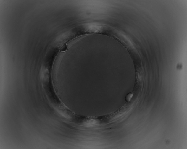 X0000102000551200807181207