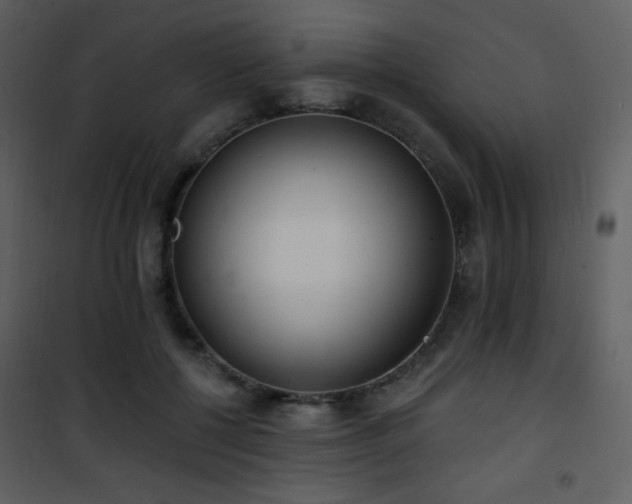 X0000102000552200807181207