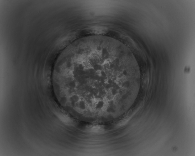 X0000102000553200807181207