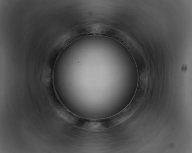 X0000102000554200807181207