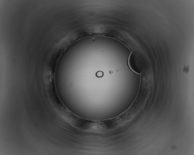 X0000102000555200807181207