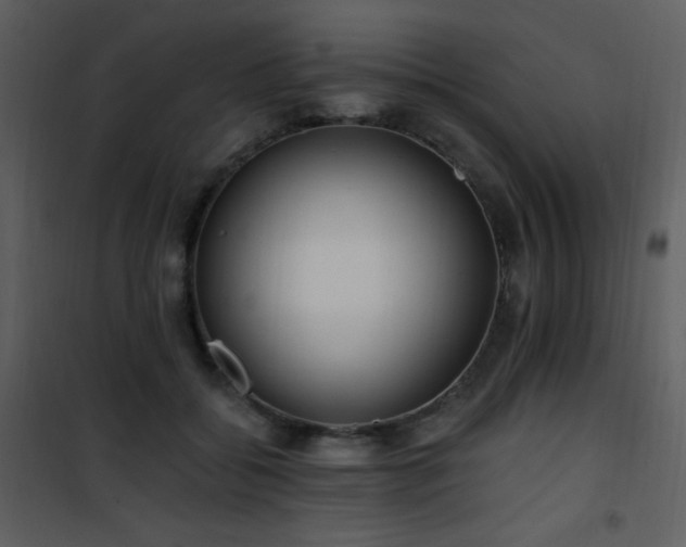 X0000102000556200807181207