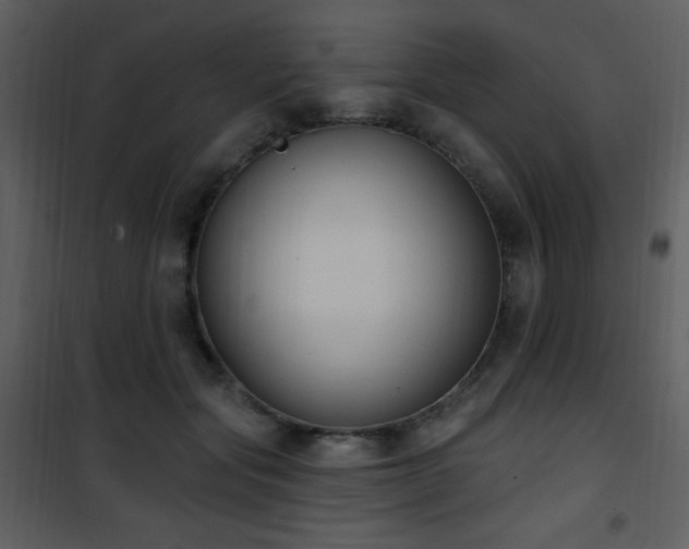 X0000102000557200807181207