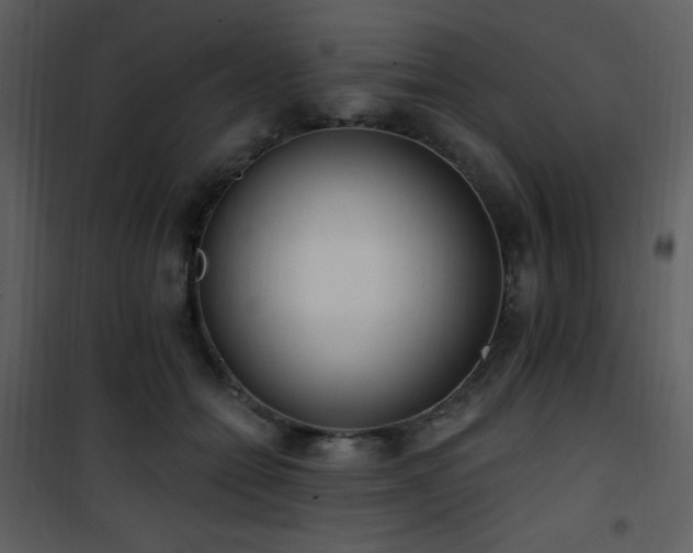 X0000102000558200807181207