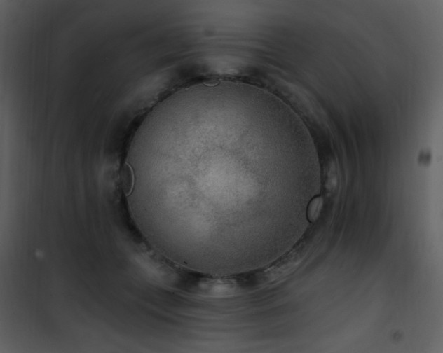 X0000102000559200807181207