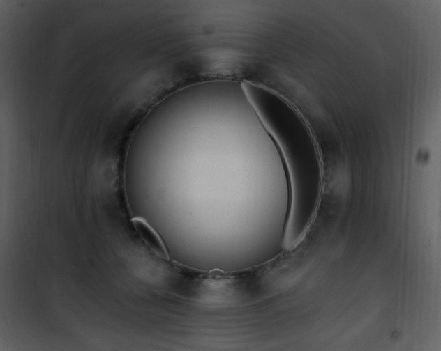 X0000102000560200807181207