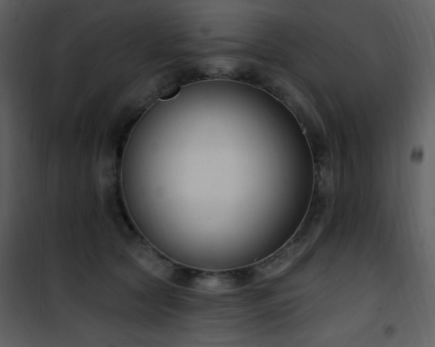 X0000102000561200807181207