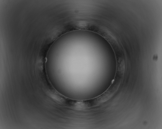 X0000102000562200807181207