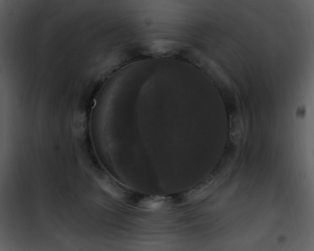 X0000102000563200807181207