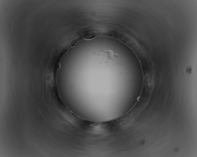 X0000102000564200807181207